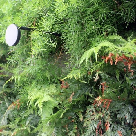 Arandela Direct Light V-Garden Jardim Vertical 2,7 watts Haste 500mm Bivolt 2700K IRC90 120° IP66  DL AR8