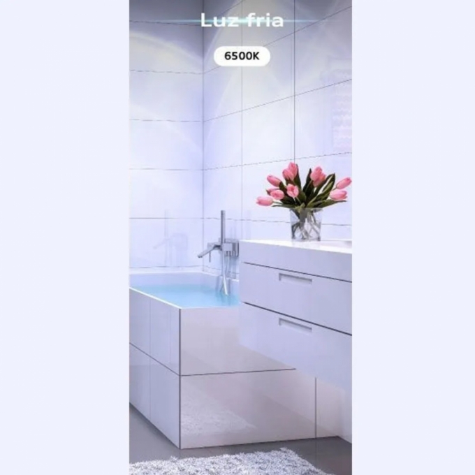 Lâmpada Blumenau Bulbo 9 watts A60 IP20 6500K Ø60mm 03097016