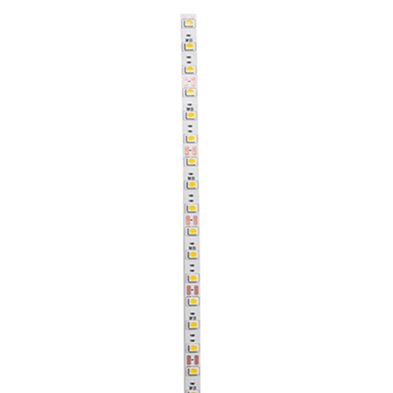 Fita LED Nordecor 5,4/mt 60 leds IP20 8mm 12V 6500K (Rolo 5 metros) 7146