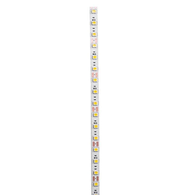 Fita LED Nordecor 5,4/mt 60 leds IP20 8mm 12V 6500K (Rolo 5 metros) 7146