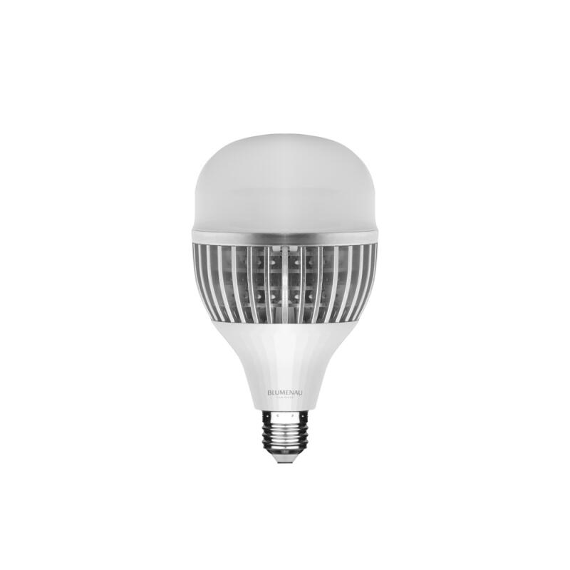 Lâmpada Blumenau Bulbo 65 watts 6500K IP20 Ø120x205mm 03065126