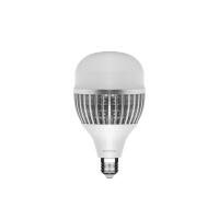 Lâmpada Blumenau Bulbo 65 watts 6500K IP20 Ø120x205mm 03065126