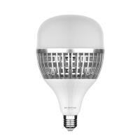 Lâmpada Blumenau Bulbo 80 watts 6500K IP20 E27 Ø140x235mm 03080126
